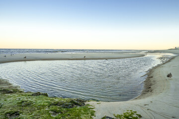 View of the beach on the Frisian island of Sylt near Westerland. Nature on the North Sea.
