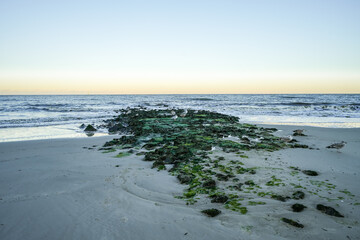 View of the beach on the Frisian island of Sylt near Westerland. Nature on the North Sea.
