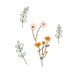 vector seamless floral pattern with flowers and leaves on transparent background