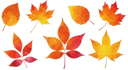 Watercolor Autumn Leaves Illustration on White Background