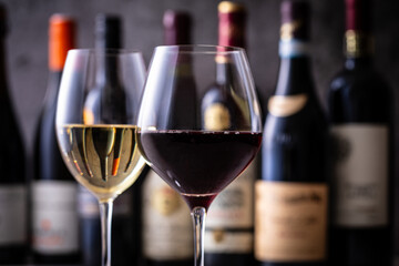 レストランでワインを飲む 