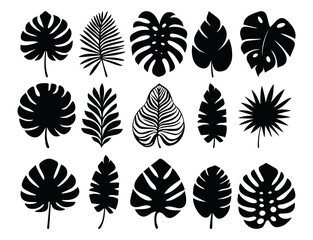 Set of exotic leaves. Vector silhouettes of monstera, tropical leaves. Simple, minimalist style. For summer eco design. Tropical leaves. Jungle exotic palm plants. Banana, philodendron, monstera leaf
