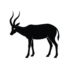 Blesbok Grazing Horns Vector Clipart