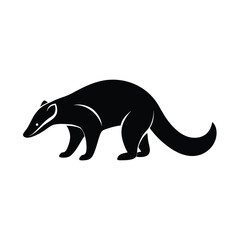 Coati Sniffing Snout Vector Art
