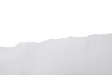 white torn or ripped paper isolated on transparent png background,realistic torn paper edges