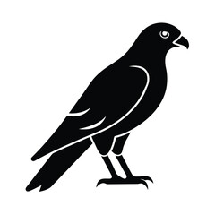 Harrier Perched Beak Vector Silhouette