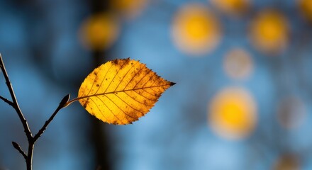 Autumn leaf representing transition and beauty of nature, with branch and blurred background