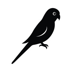 Lovebird Perched Tail Vector Silhouette