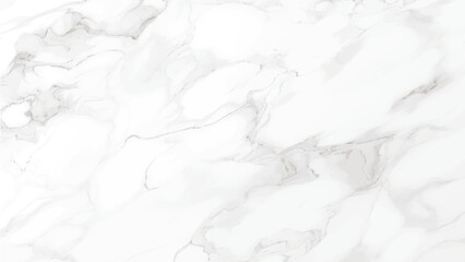 White marble texture and background. elegant white marble texture background ,vector illustration
