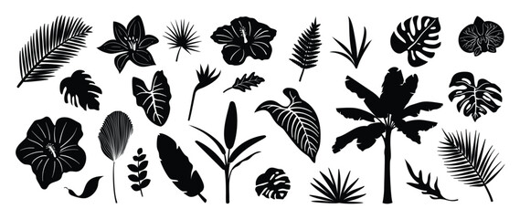 Collection of silhouette leaf elements. Set of tropical plants, leaf branch, palm, monstera, banana, foliage, flower. Hand drawn of botanical vectors for decor, website, graphic, decorative. © TWINS DESIGN STUDIO