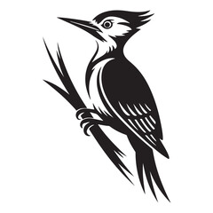 striking vector illustration of a stylized woodpecker, Vector black silhouette. with white background