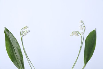 Beautiful lily-of-the-valley flowers and leaves on white background, flat lay. Space for text