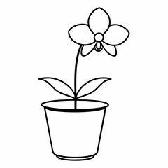 Simple Line Drawing of Orchid Plant in Pot