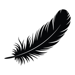 Woodcock Feather Silhouette, Vector, Illustration, Icon, Logo, White Background.