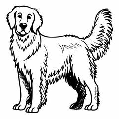 Golden Retriever Outline Style Pet Dog Animal Icon