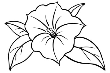 Obraz premium morning glory silhouette line art vector illustration with a white background