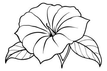 morning glory silhouette line art vector illustration with a white background
