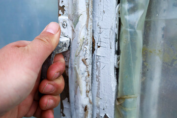 A human hand holds onto an old metal handle of a white greenhouse door. Cracked paint and...