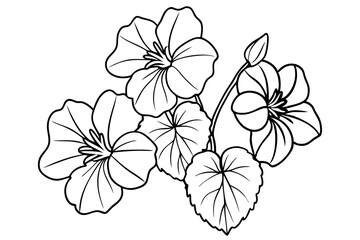 nasturtium silhouette line art vector illustration with a white background