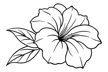 petunia silhouette line art vector illustration with a white background