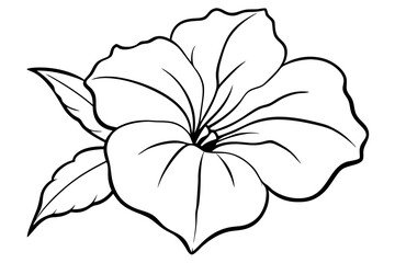 Fototapeta premium petunia silhouette line art vector illustration with a white background