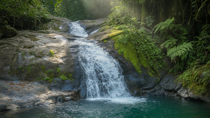 Naklejka premium Waterfall is flowing into a pool of water