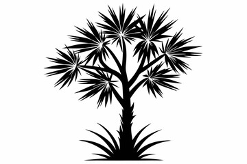 yucca silhouette line art vector illustration with a white background