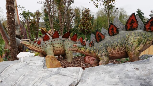 Reproduction d'un dinosaure herbivore Stegosaurus au zoo asiatique de Pairi Daiza en Belgique europe