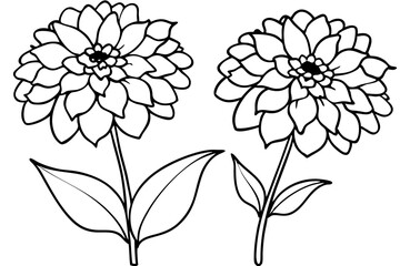 zinnia silhouette line art vector illustration with a white background