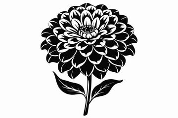 zinnia silhouette line art vector illustration with a white background