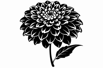 zinnia silhouette line art vector illustration with a white background