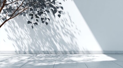 Tree branches cast shadows on a white wall and floor in sunlight.