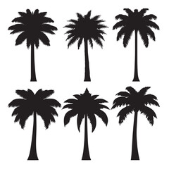 Fototapeta premium Vector silhouette set of palm tree on white background 