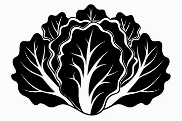 lettuce silhouette line art vector illustration with a white background