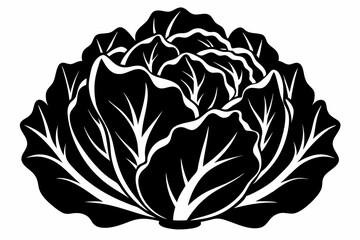 lettuce silhouette line art vector illustration with a white background