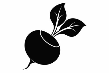 radish silhouette line art vector illustration with a white background