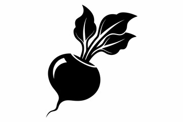 radish silhouette line art vector illustration with a white background