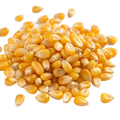 Fototapeta premium corn seeds isolated on white