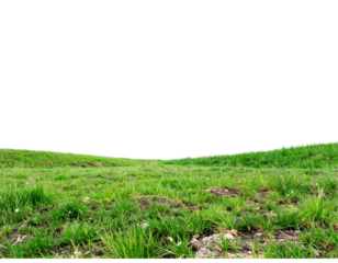 Lush green grassy field gently sloping down