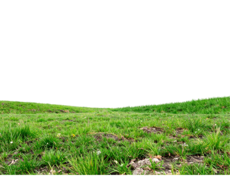 Lush green grassy field gently sloping down