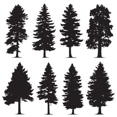 Obraz premium Vector silhouette set of pine tree on white background 