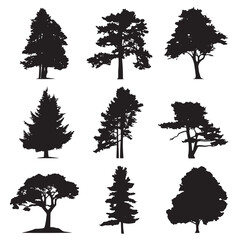 Vector silhouette set of pine tree on white background 