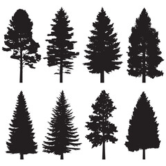 Obraz premium Vector silhouette set of pine trees on white background 