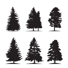 Fototapeta premium Vector silhouette set of pine trees on white background 