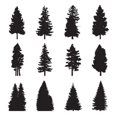 Obraz premium Vector silhouette set of pine trees on white background 