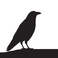 Fototapeta premium Vector silhouette set of raven on white background 