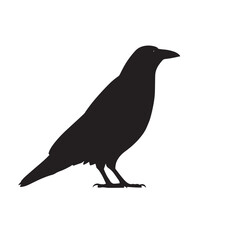 Obraz premium Vector silhouette set of raven on white background 