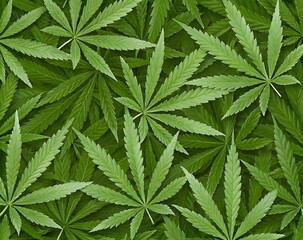 Ultra High-Resolution Cannabis Leaves Digital Illustration