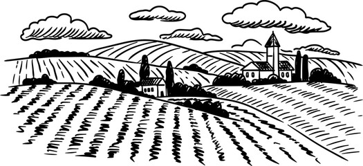 Sketch of hills with vineyards and buildings. Field, trees, clouds. Vector illustration