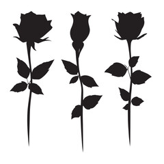 Vector silhouette set of rose on white background 